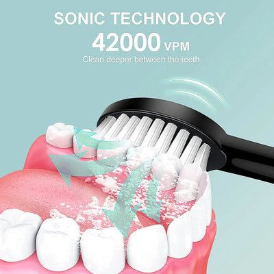 Sonic Electric Toothbrush Adult Smart Timing Tooth Brush Teeth Clean Whitening Fast USB Rechargeable Toothbrush Replacement Head